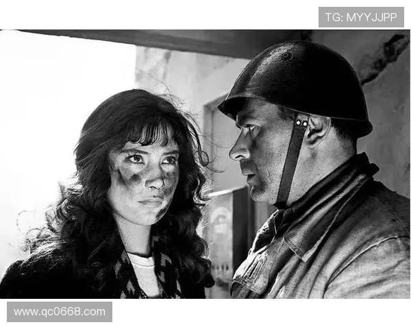 光影重塑史诗：当电影遇上世界史